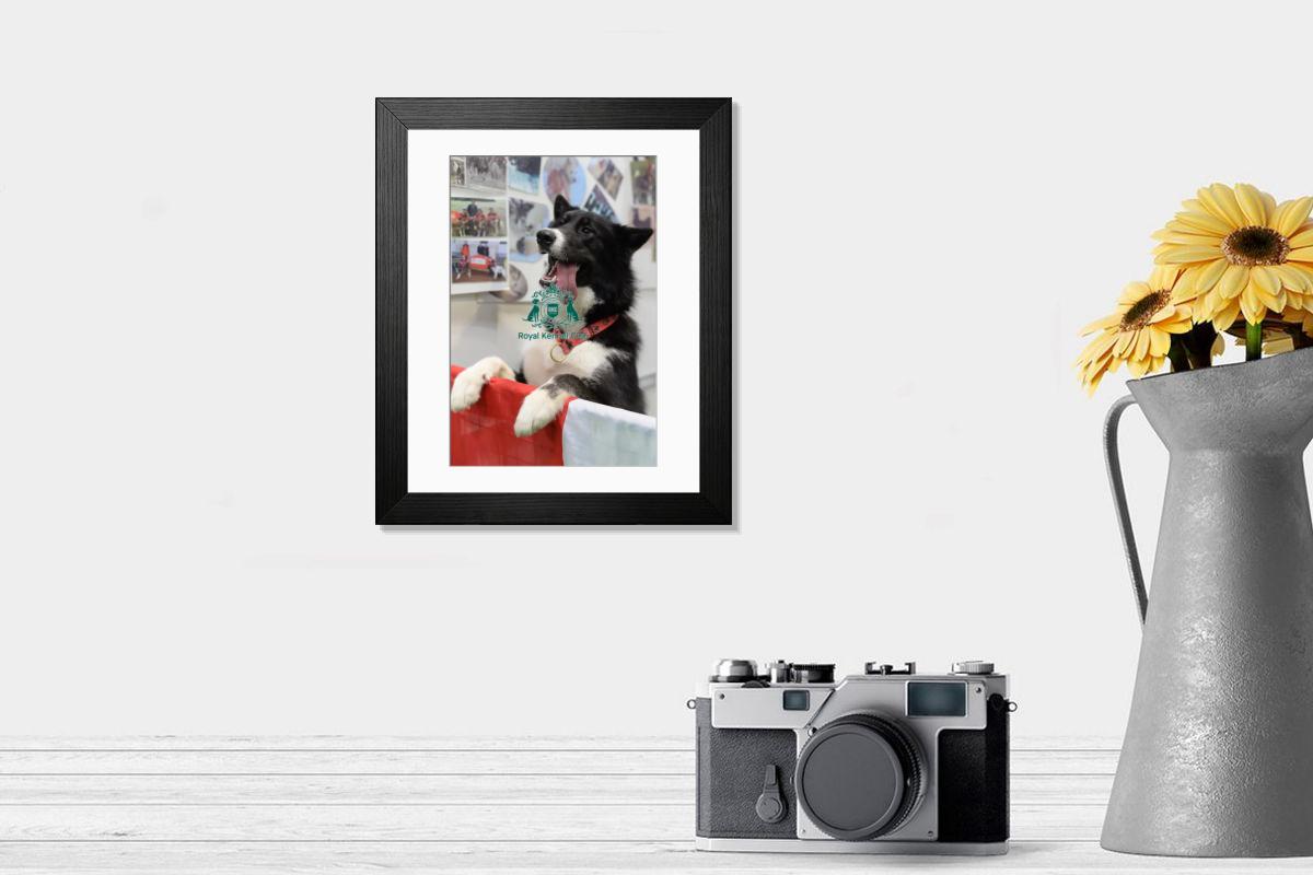 product preview 0