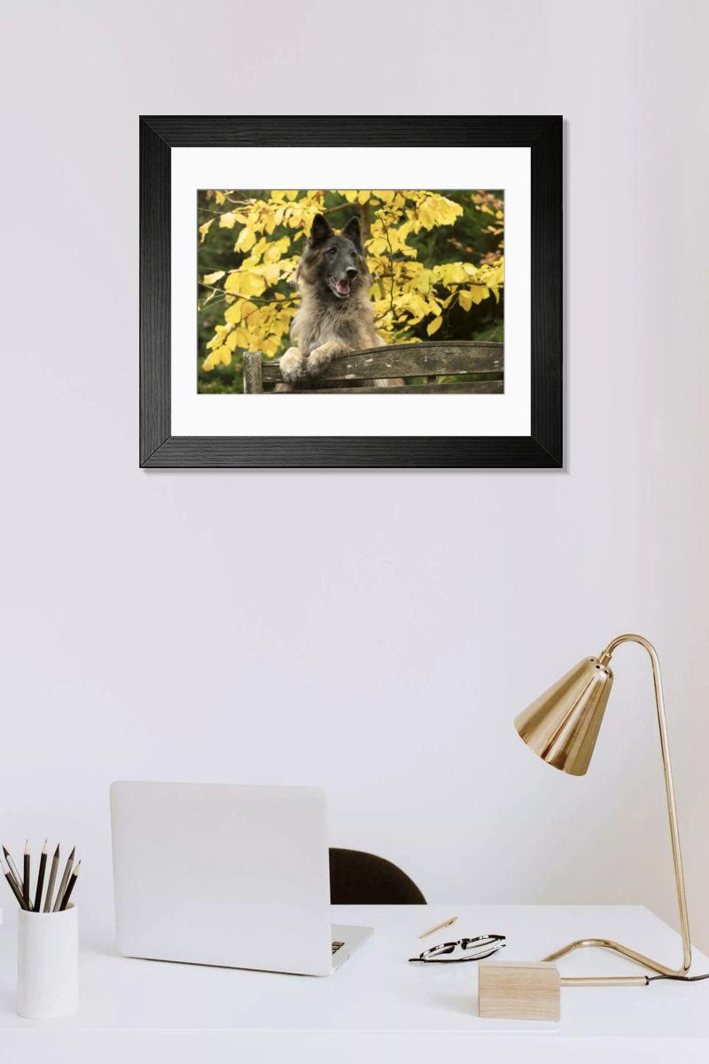 Shown hanging in a room: Modern 14"x12" (36x31cm)