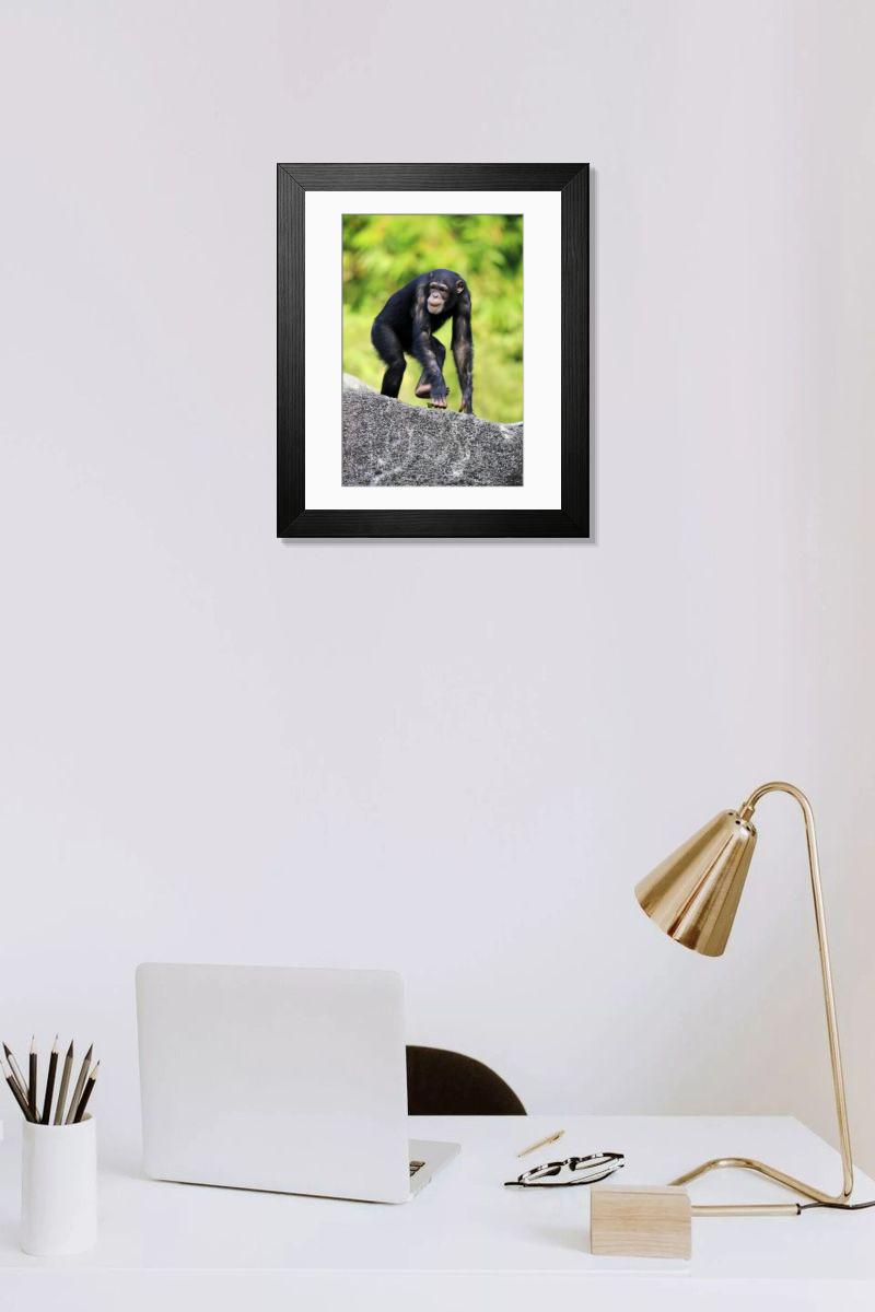 product preview 0