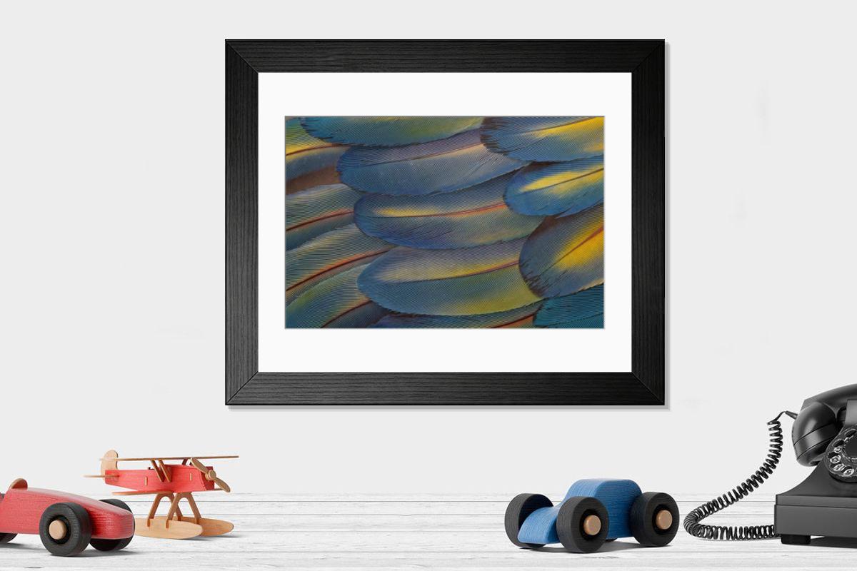 product preview 0