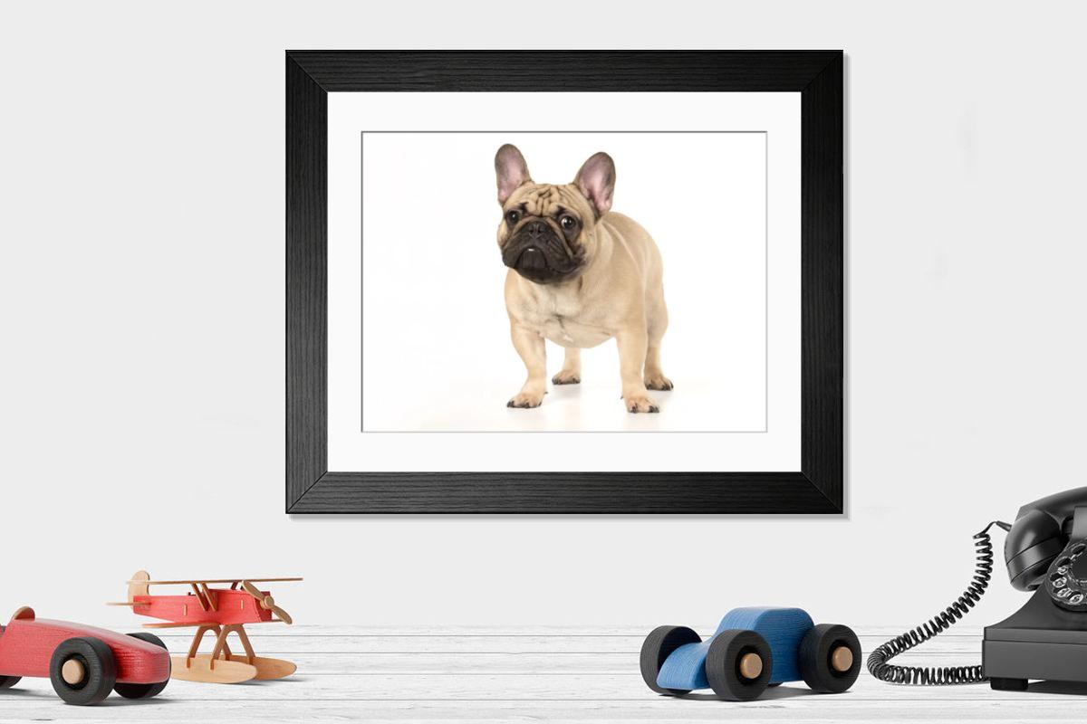 product preview 0