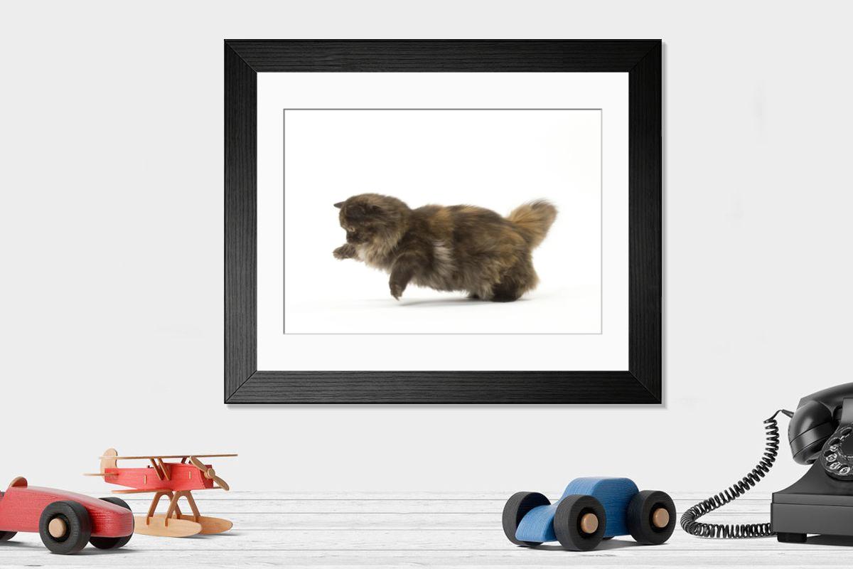 Shown hanging in a room: Modern 14"x12" (36x31cm)