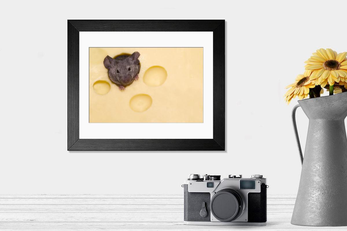 product preview 0