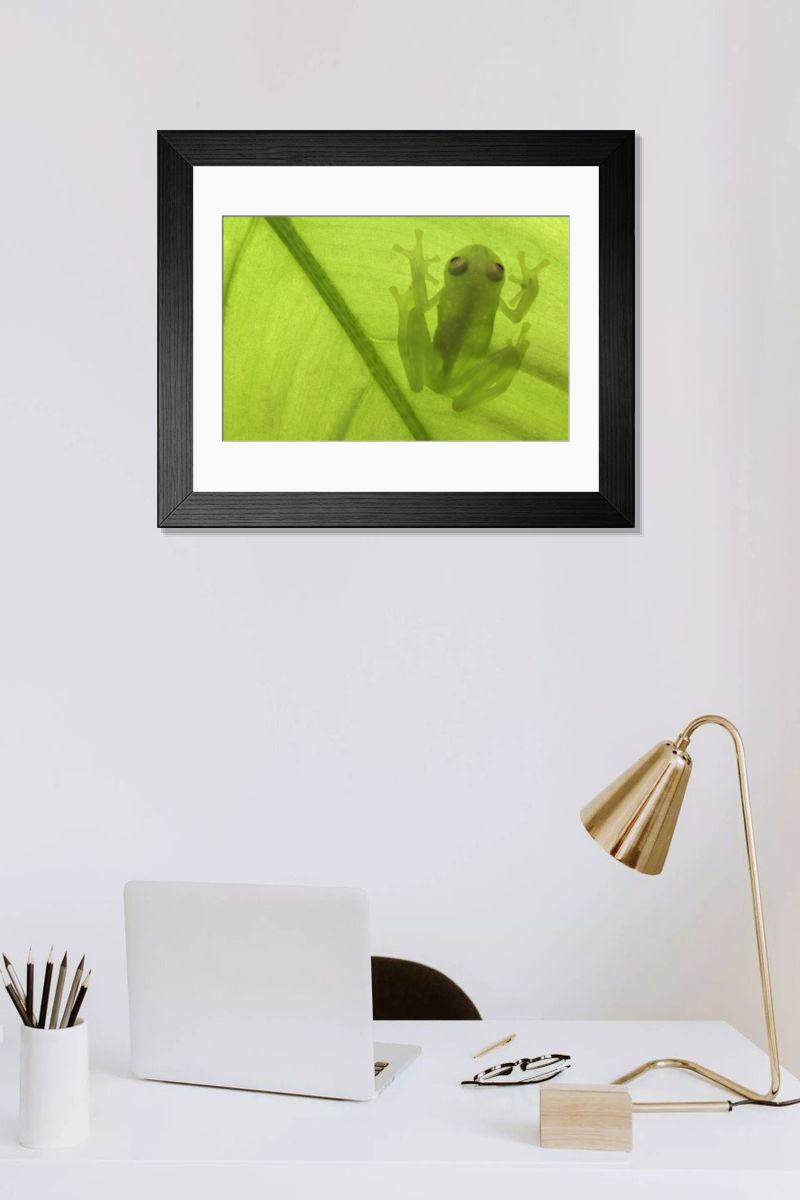 product preview 0