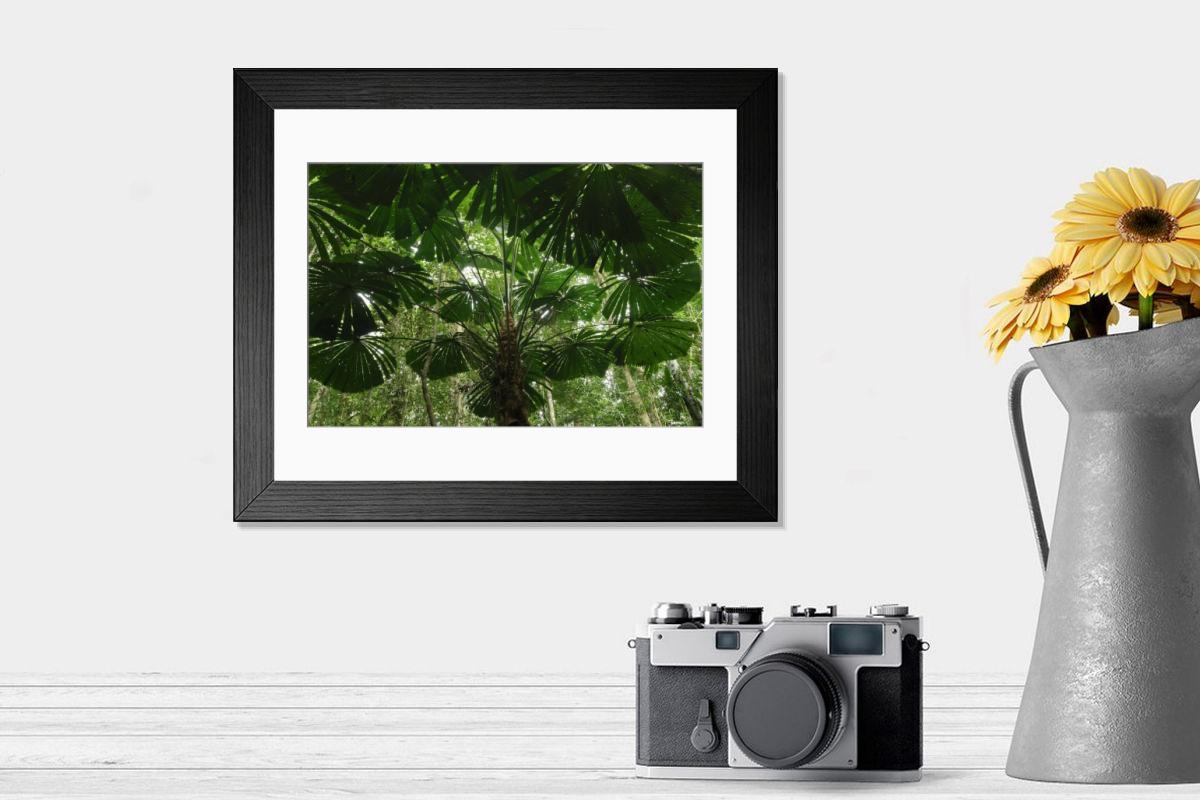 product preview 0