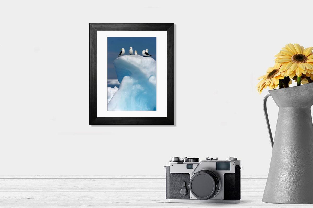 product preview 0