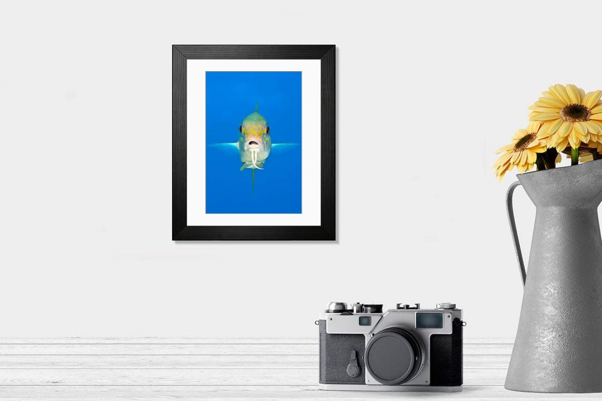product preview 0
