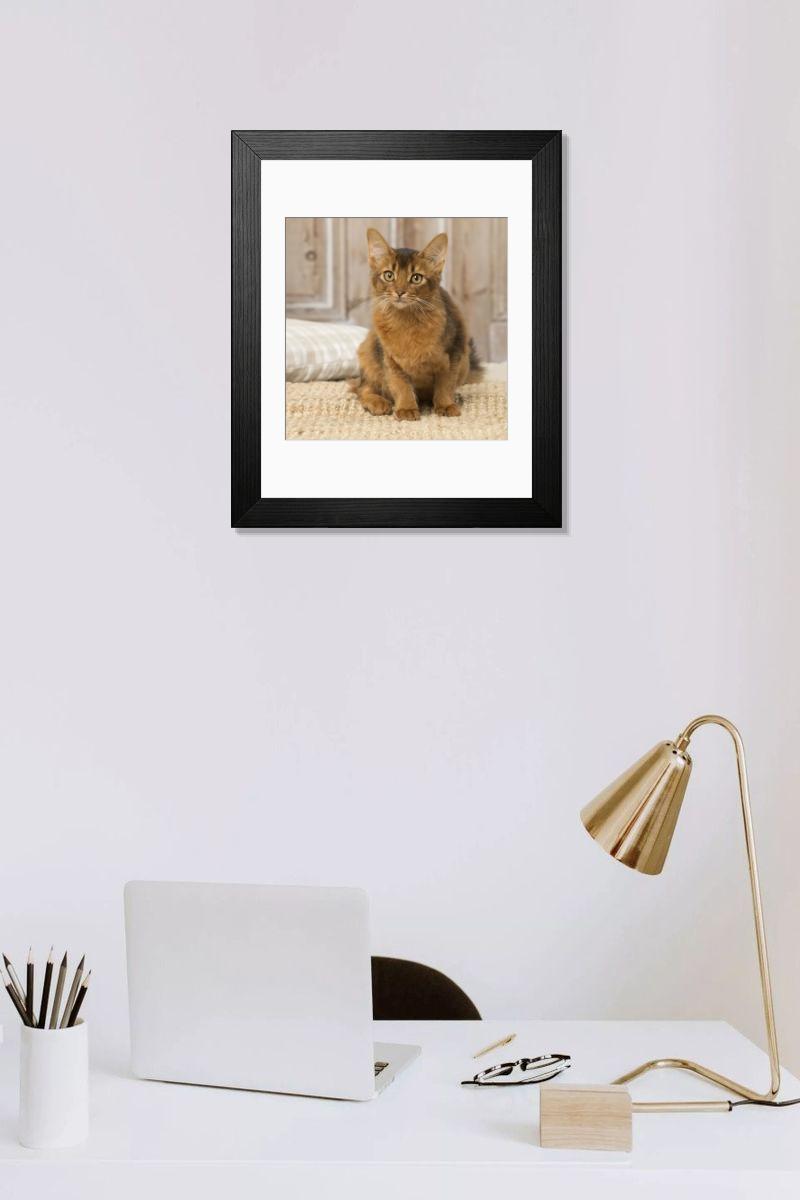 Shown hanging in a room: Modern 14"x12" (36x31cm)