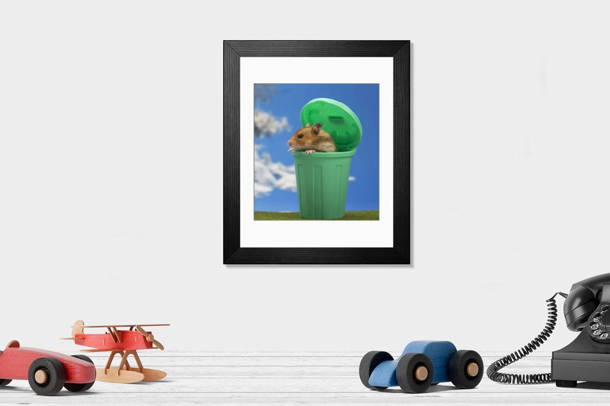 product preview 0