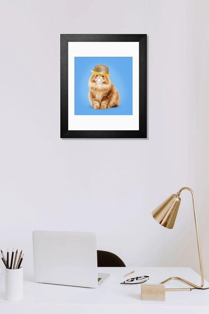 product preview 0