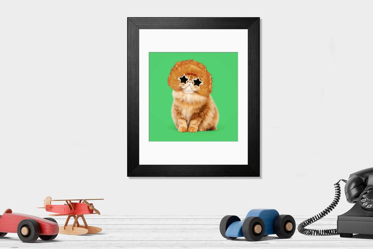 product preview 0
