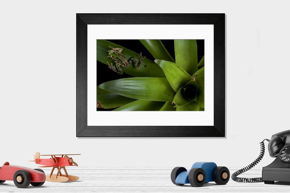 product preview 0