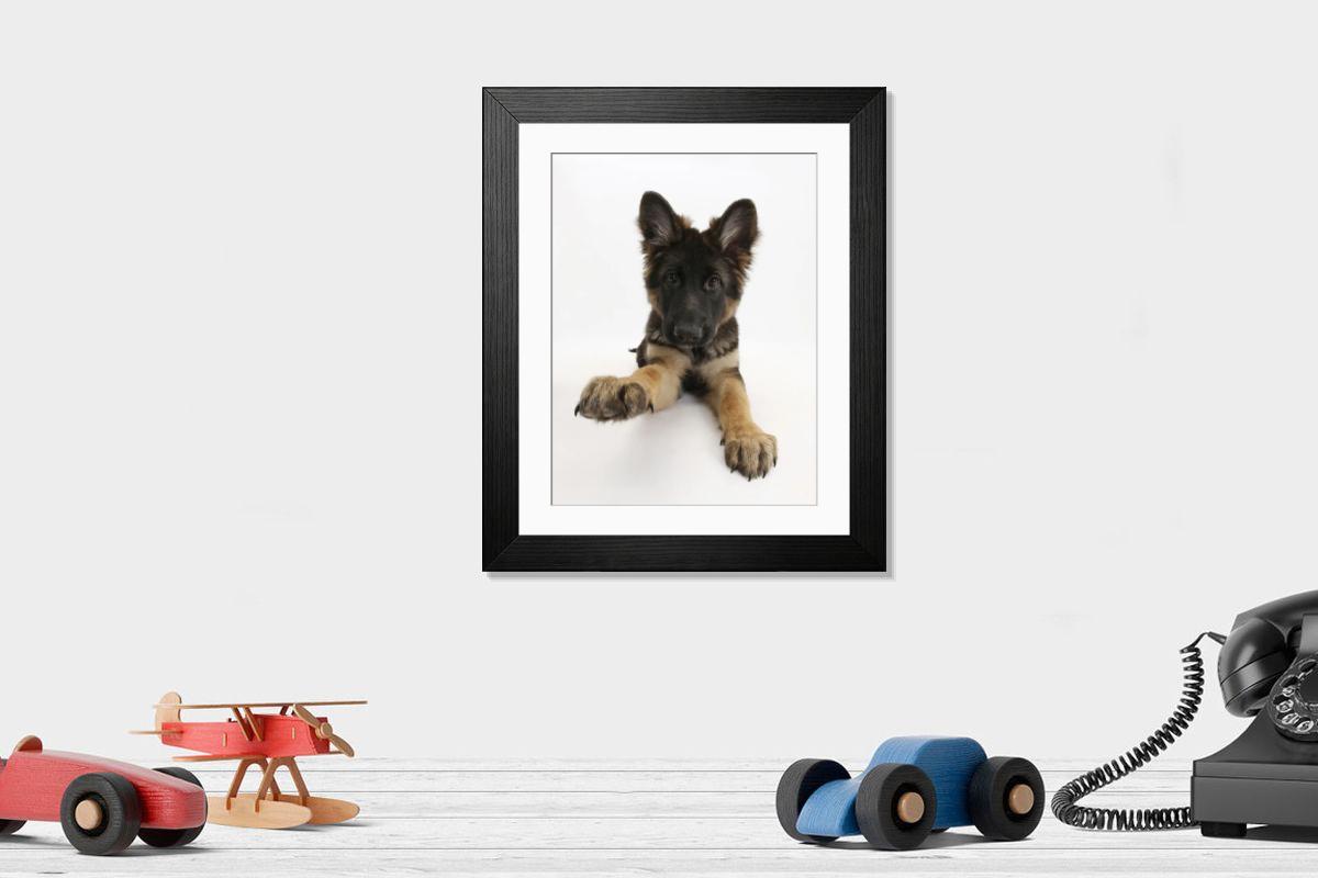 product preview 0