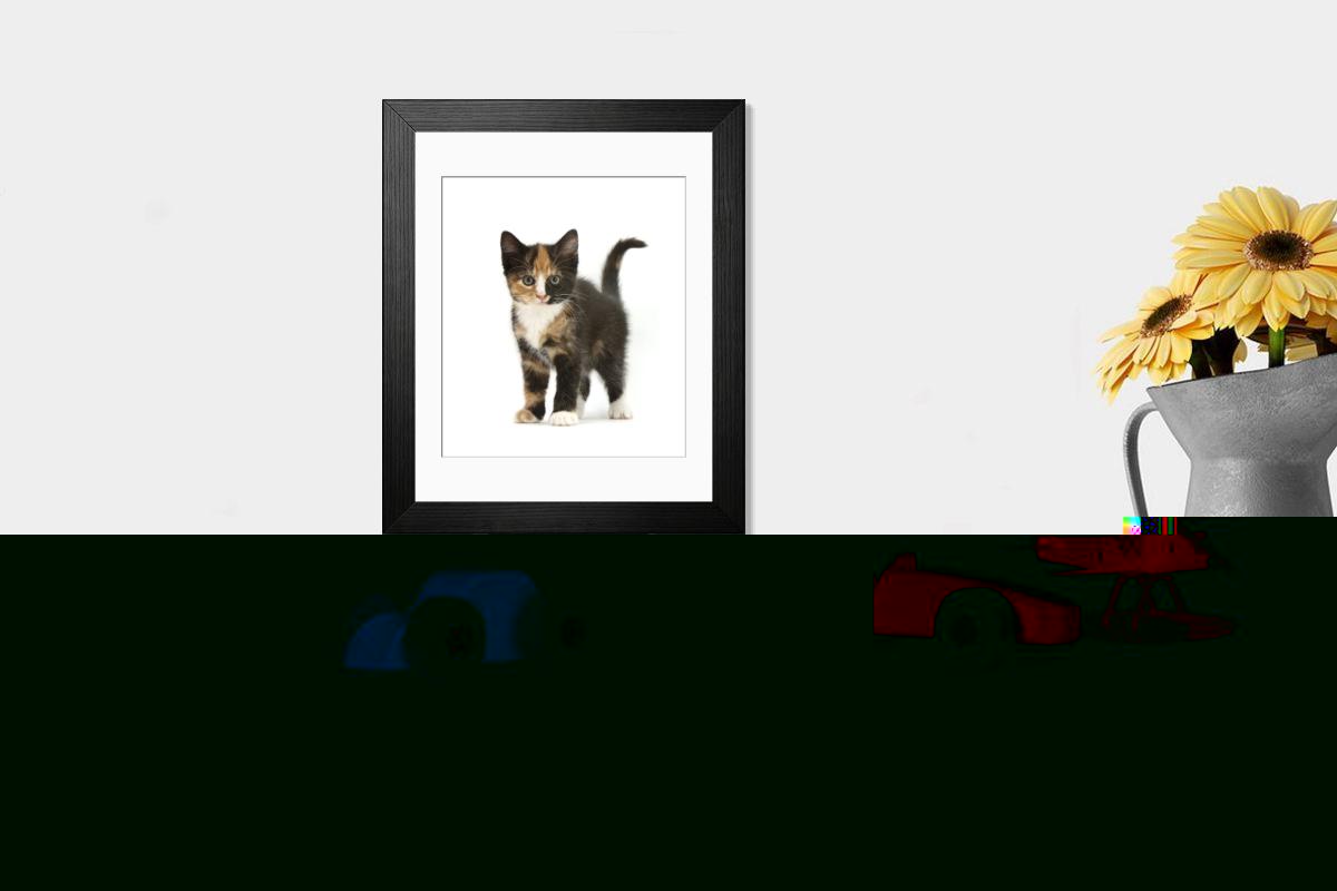 product preview 0