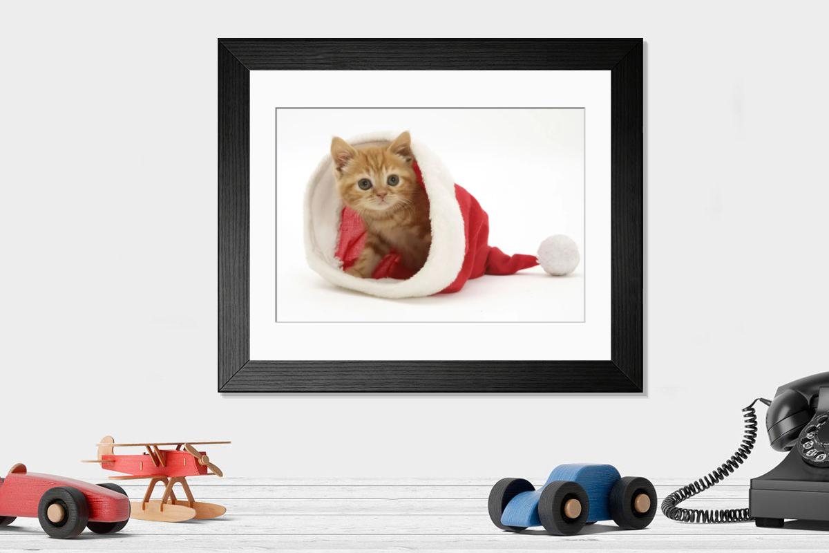 product preview 0