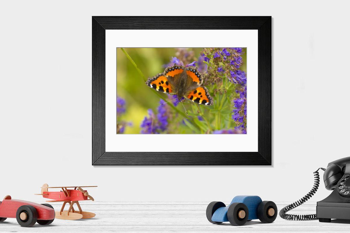 product preview 0