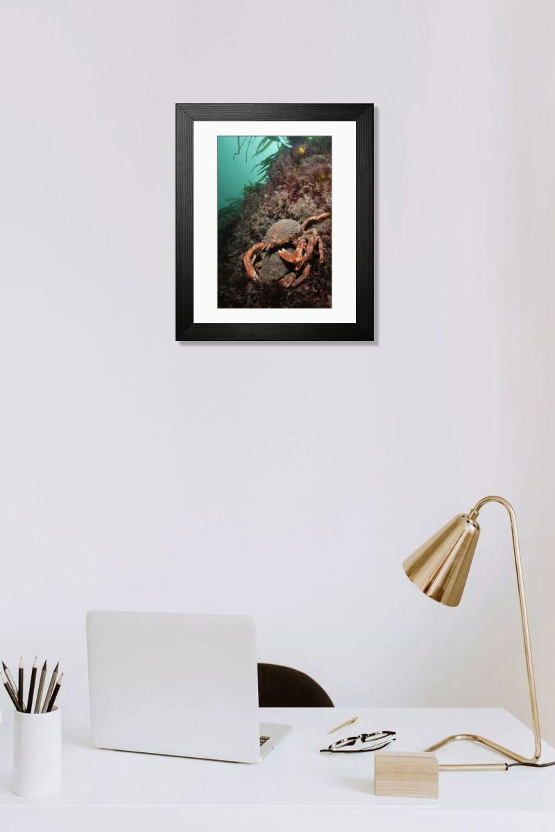 product preview 0