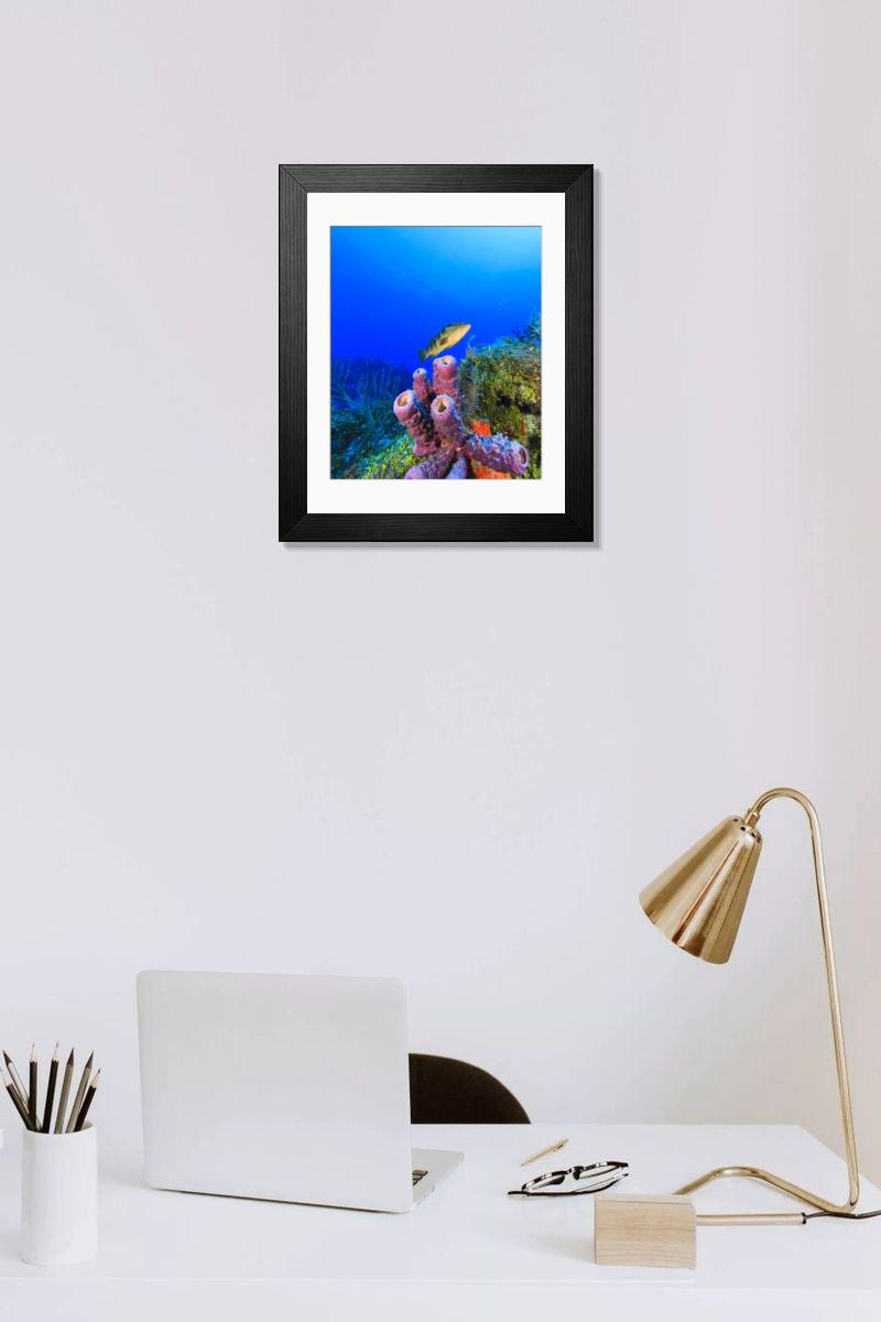 product preview 0