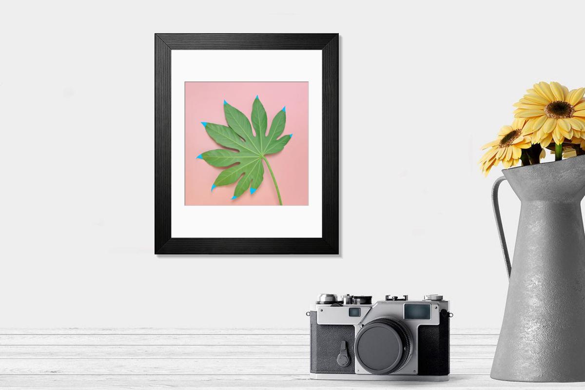 product preview 0