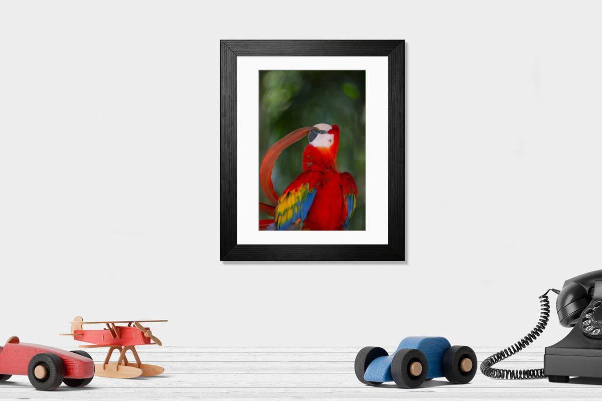 product preview 0