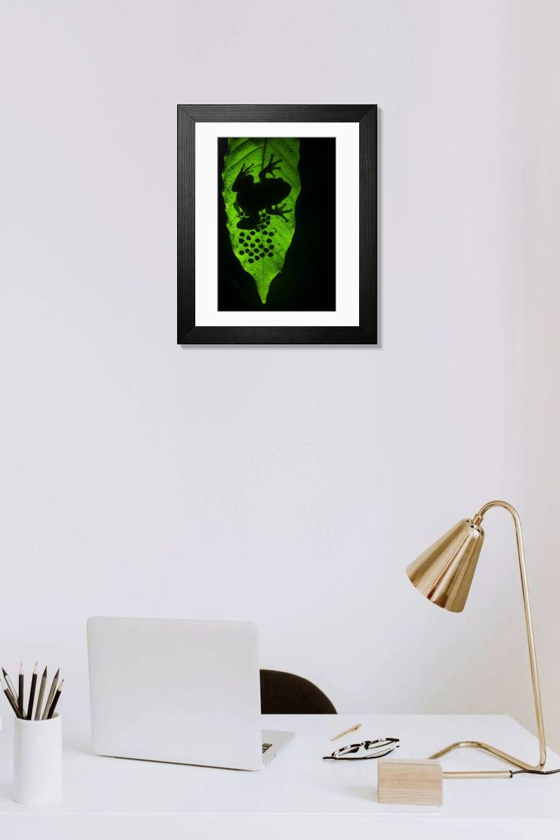 product preview 0