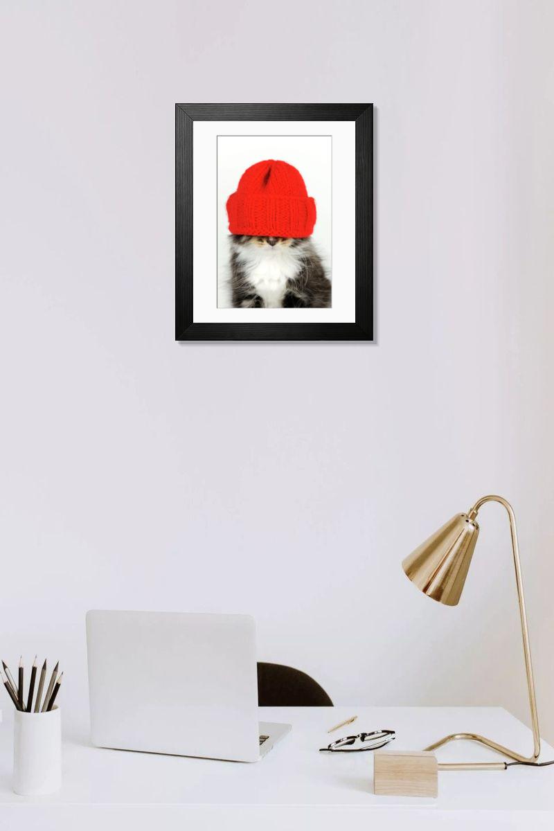 product preview 0