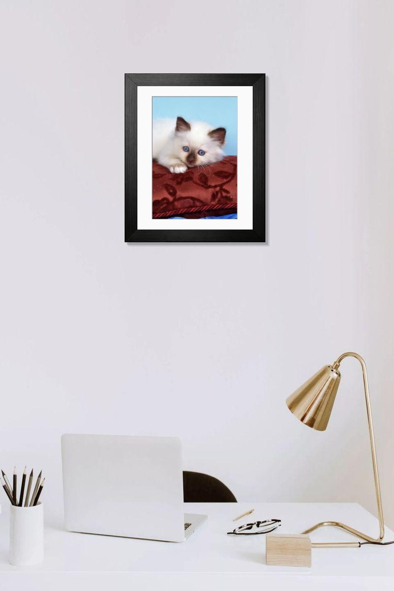 product preview 0