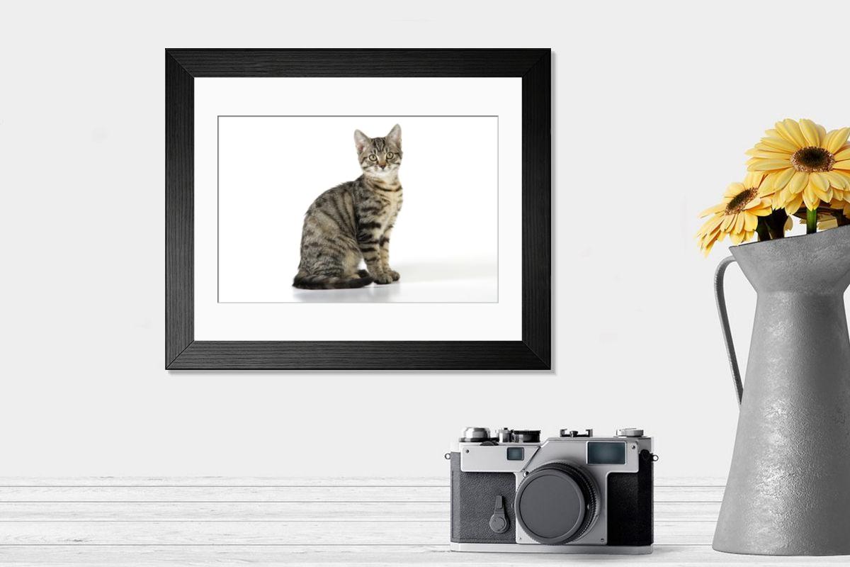 product preview 0