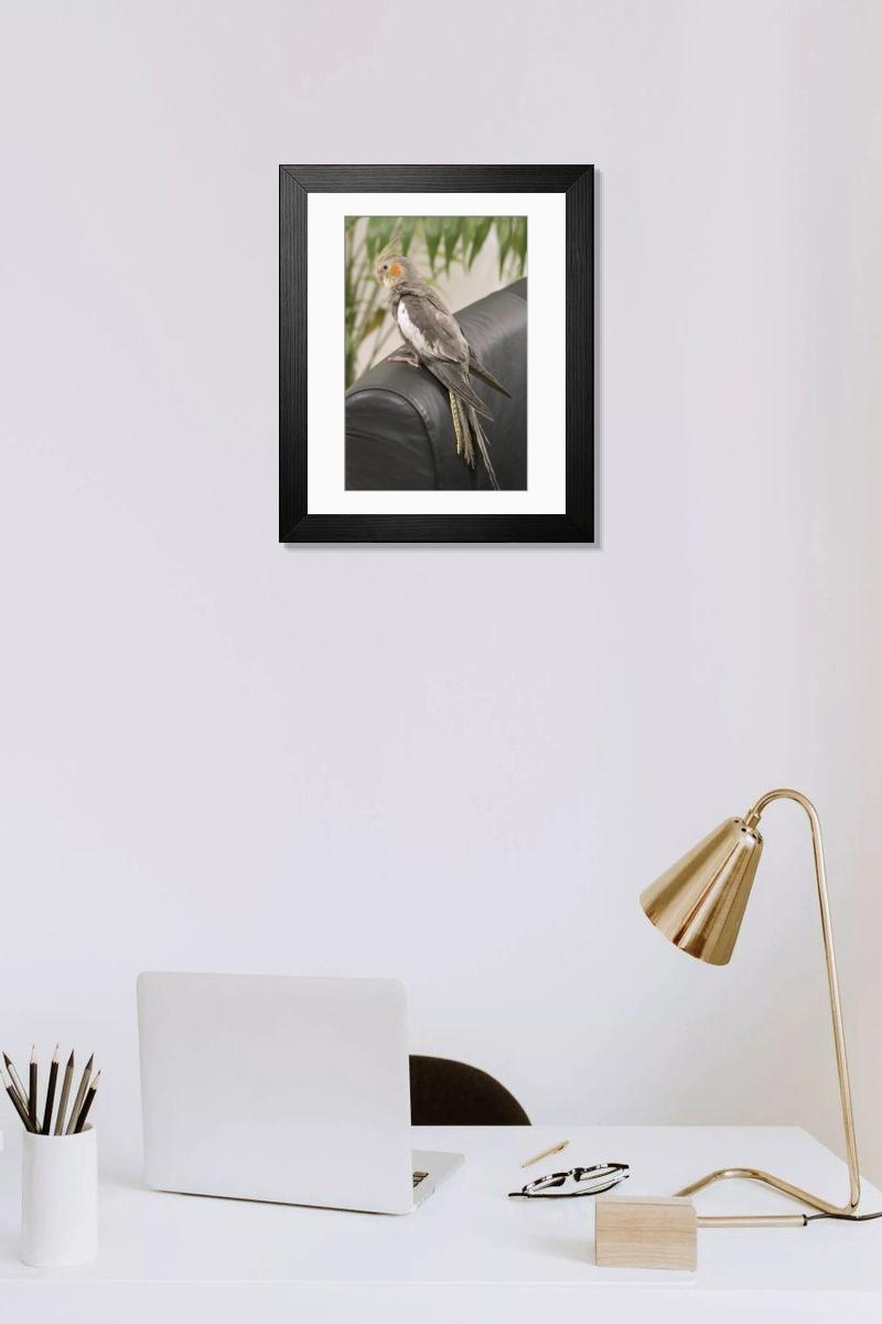 product preview 0
