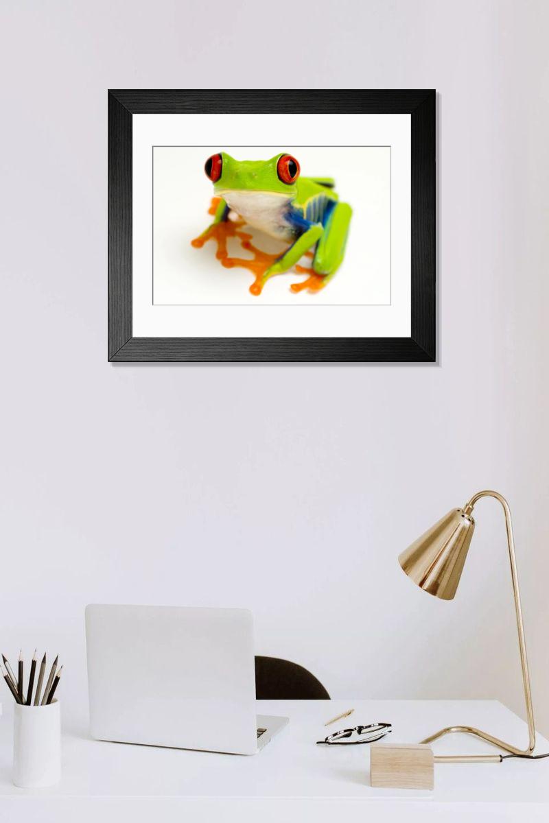 product preview 0