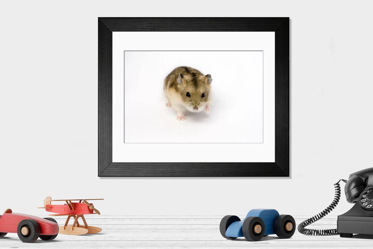 product preview 0