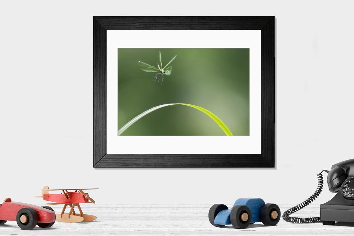 product preview 0