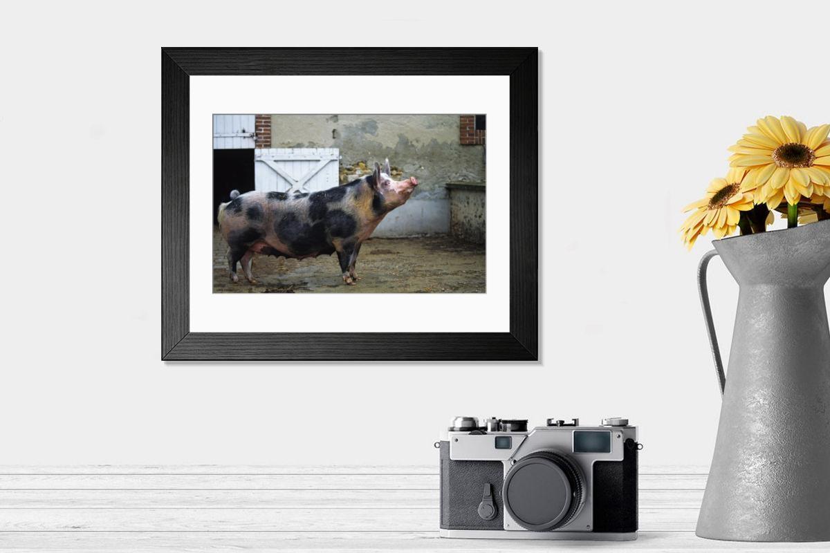 product preview 0
