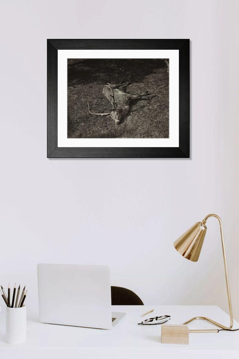 Shown hanging in a room: Modern 14"x12" (36x31cm)