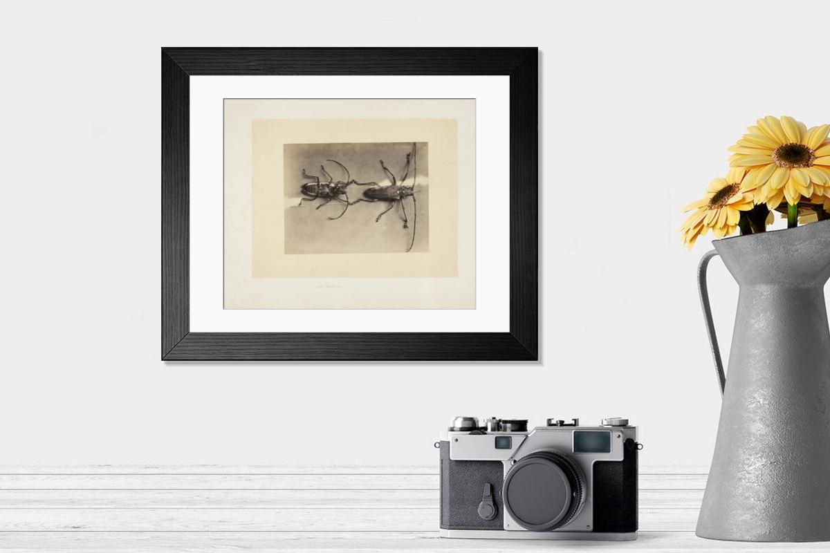 Shown hanging in a room: Modern 14"x12" (36x31cm)