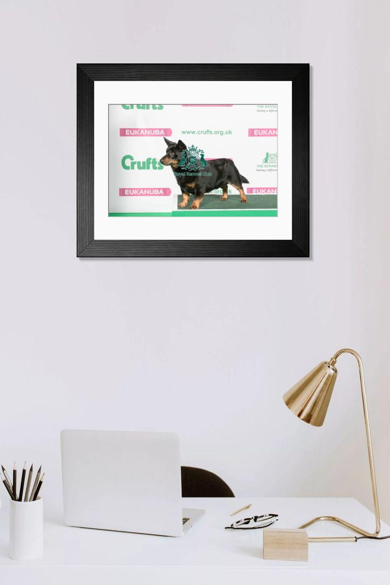 product preview 0