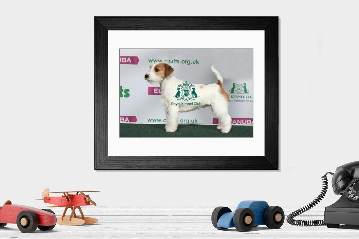 product preview 0