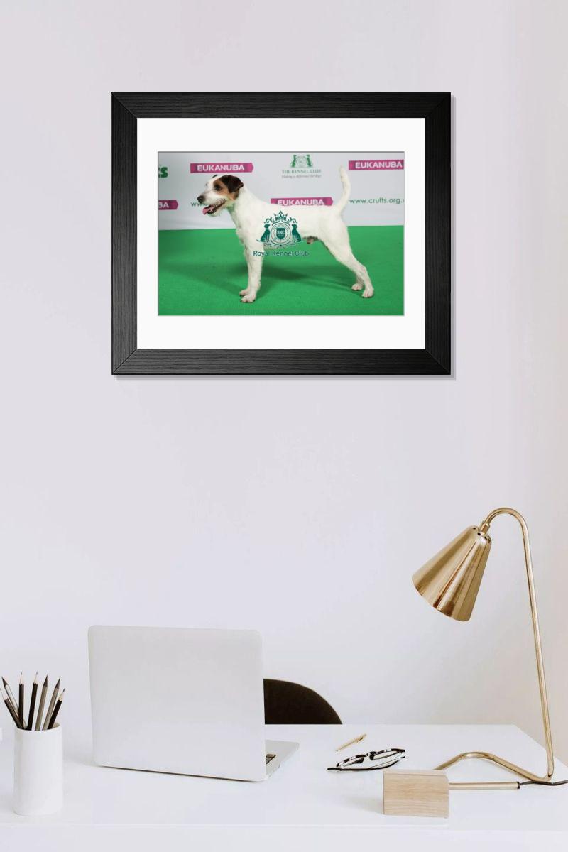 product preview 0
