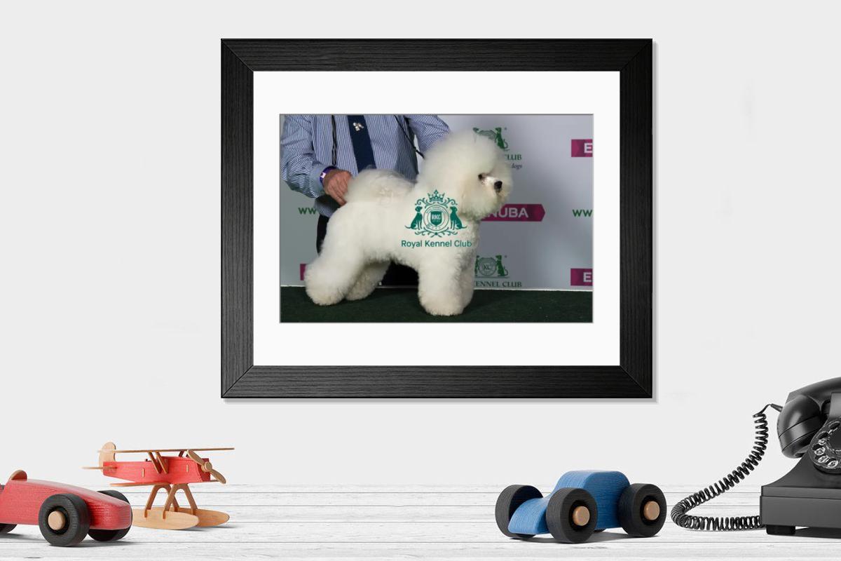 product preview 0