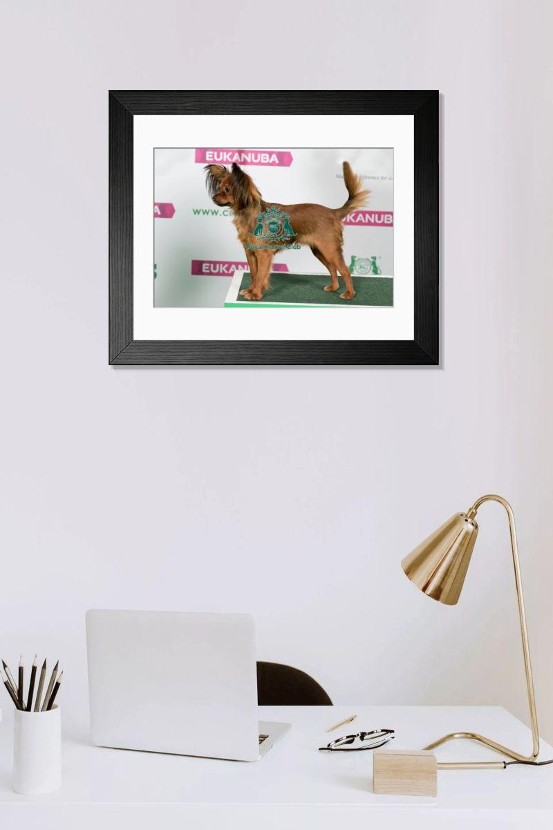product preview 0