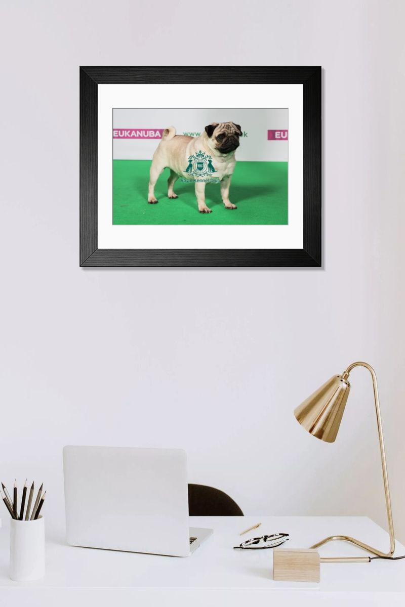 product preview 0