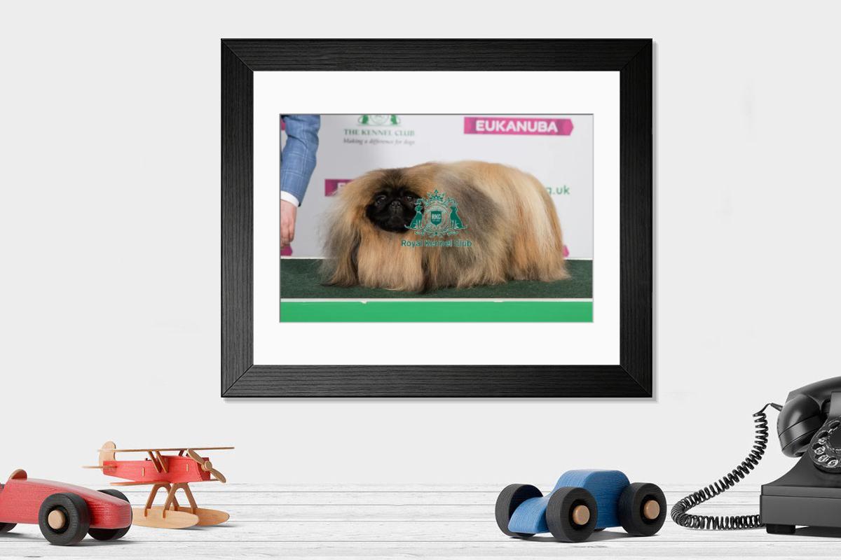 product preview 0