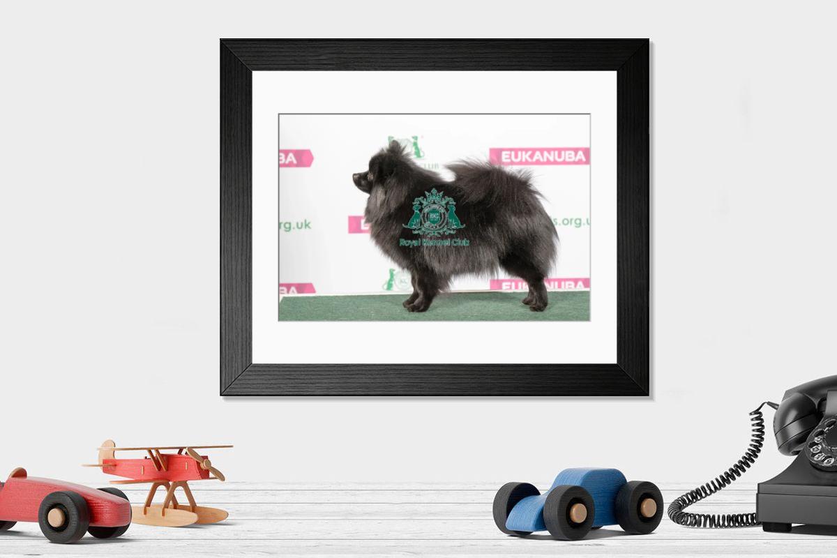 product preview 0