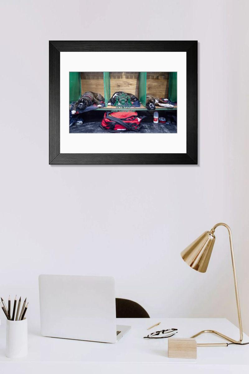 product preview 0