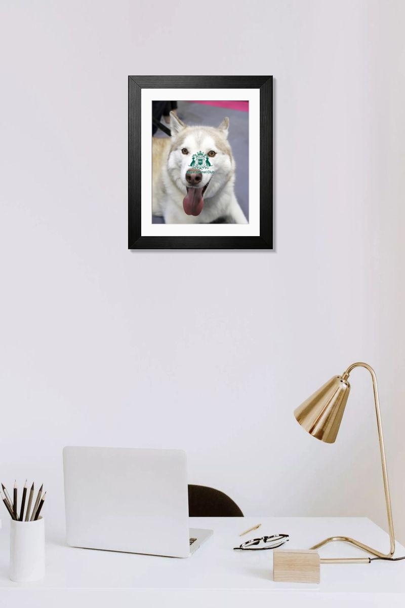 product preview 0