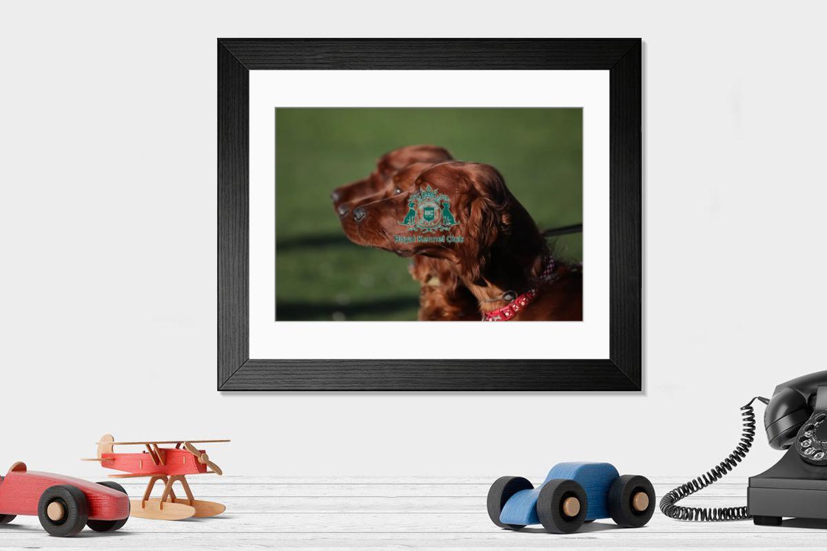 product preview 0