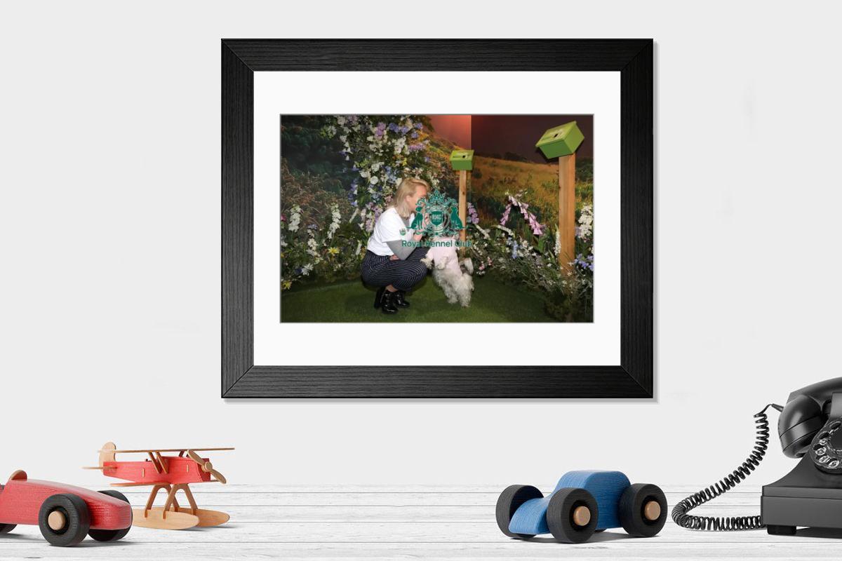 product preview 0