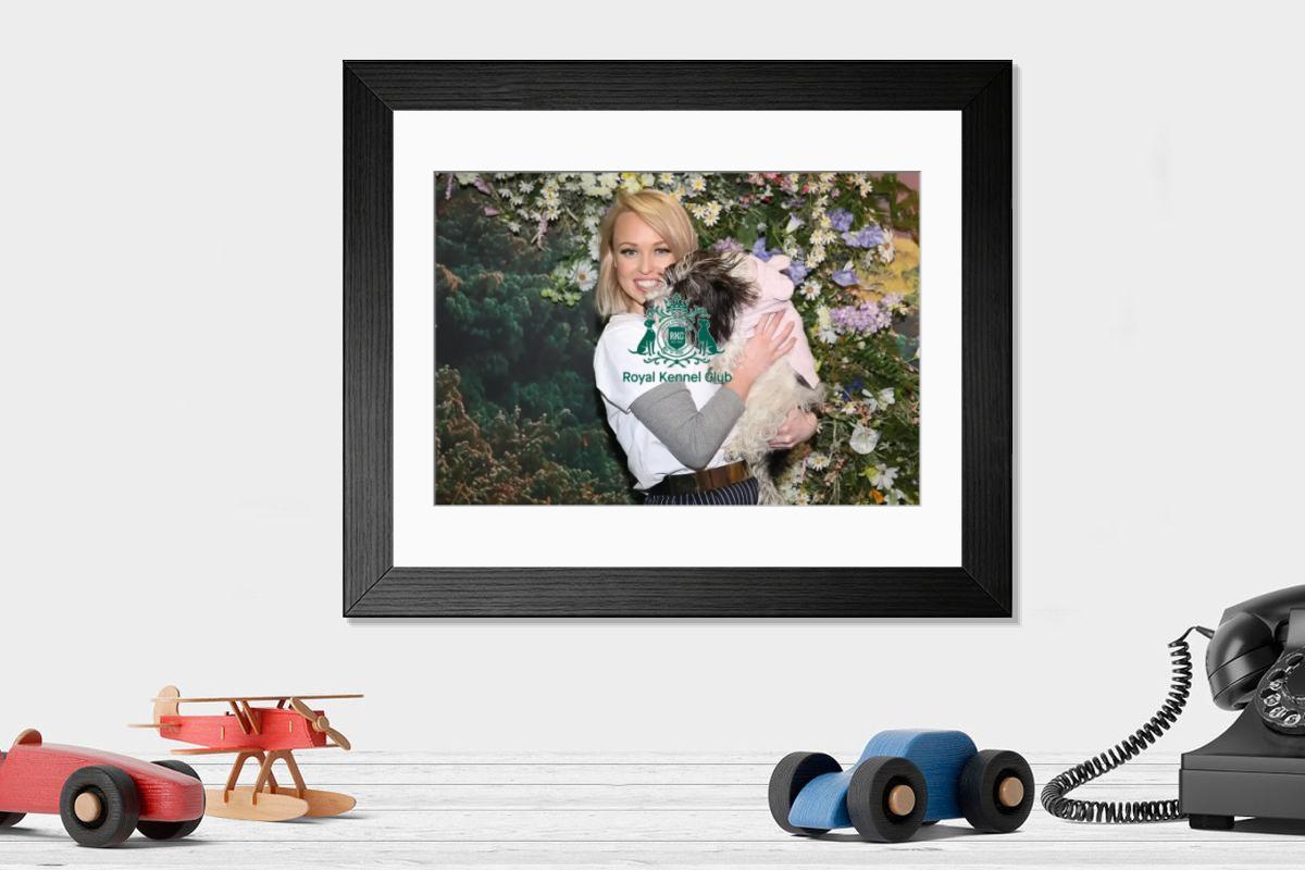 product preview 0
