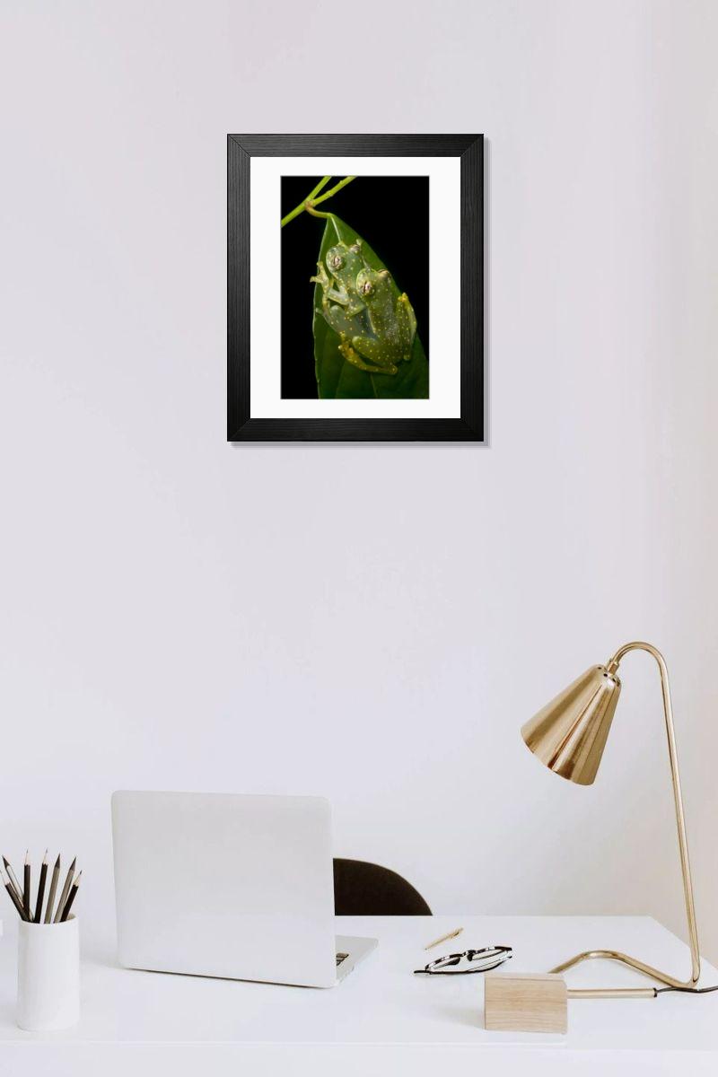 product preview 0