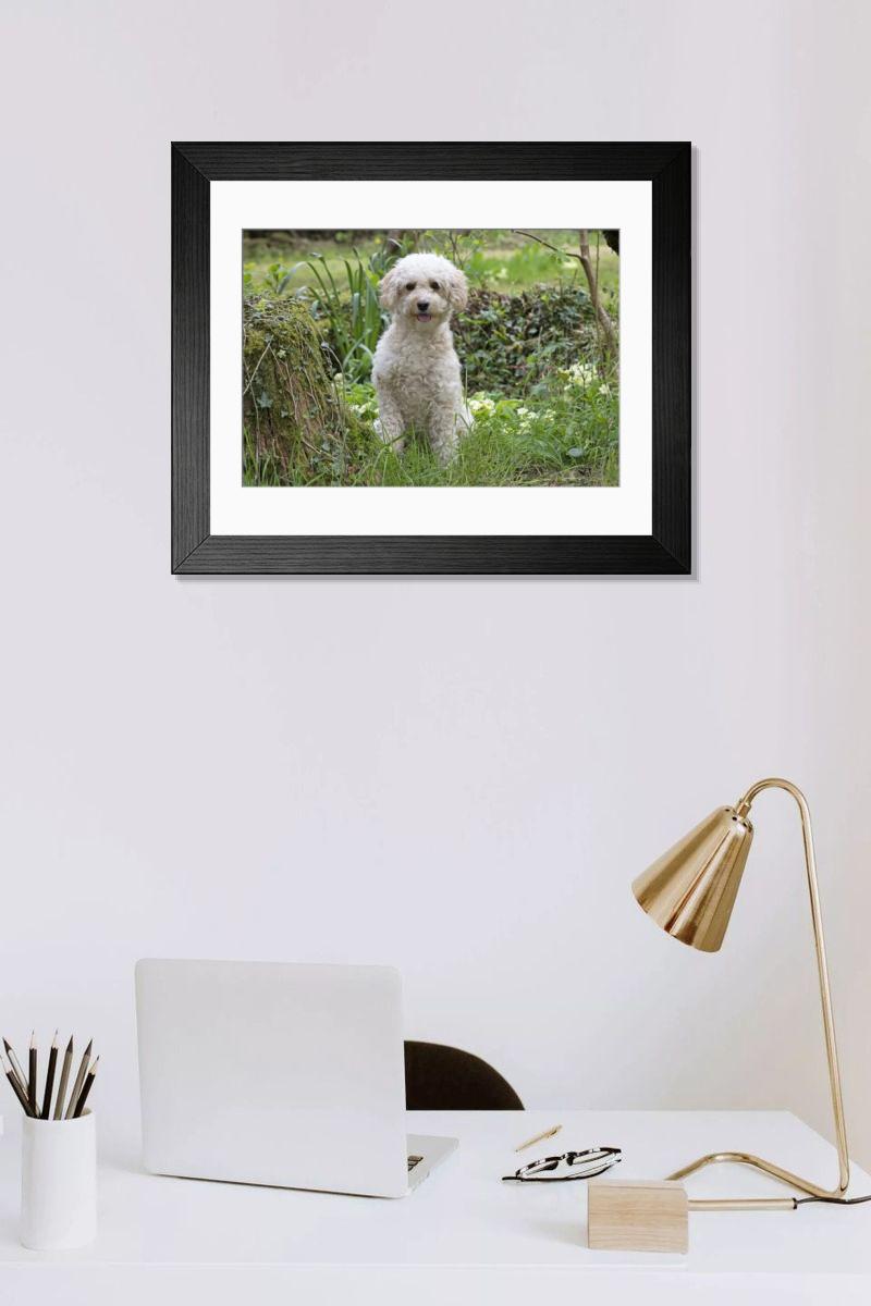 Shown hanging in a room: Modern 14"x12" (36x31cm)